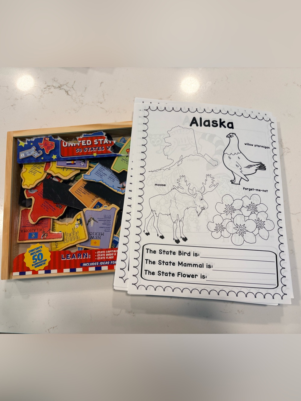 50 States Magnets + Worksheets